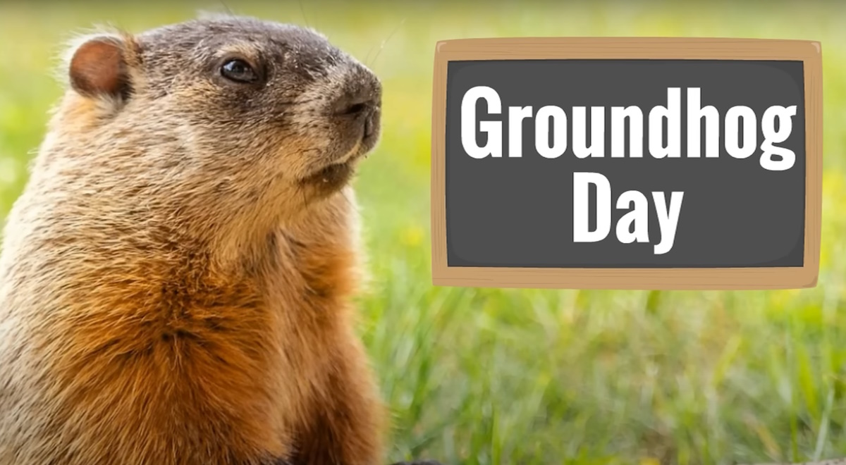 What is Groundhog Day? (VIDEO) Teacher Resource Room